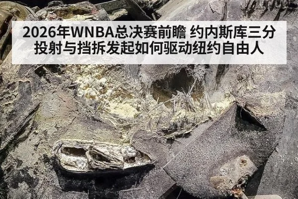 2026年WNBA总决赛前瞻 约内斯库三分投射与挡拆发起如何驱动纽约自由人